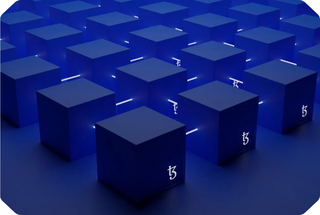 first_section_image