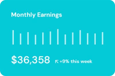 Monthly earnings graph